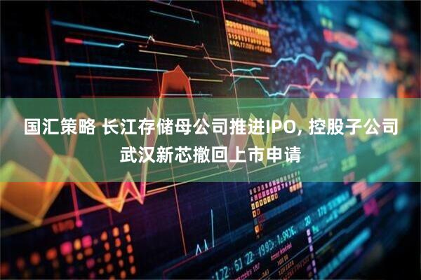 国汇策略 长江存储母公司推进IPO, 控股子公司武汉新芯撤回上市申请